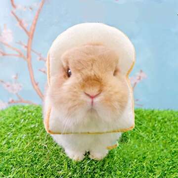 Rabbit Collar Bread Slice Collar Toast Bread-Shaped Rabbit Headdress, Pet Halloween Gift Cosplay Mak...