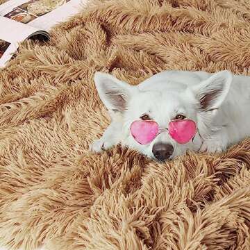 Tuddrom Decorative Extra Soft Faux Fur Throw Blanket 50" x 60",Solid Reversible Fuzzy Long Hair Shaggy Blanket,Fluffy Cozy Plush Fleece Comfy Microfiber Fur Blanket for Couch Sofa Bed,Camel