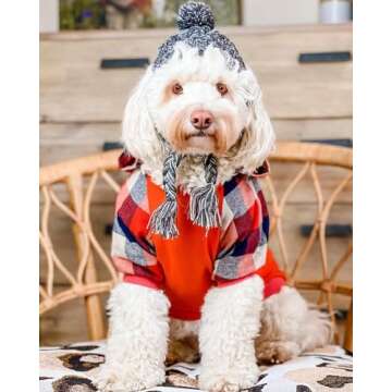 Fitwarm Dog Plaid Shirts Doggie Clothes Puppy Hoodies Cat Hooded T Shirts Pet Outfits Cotton Orange Small