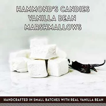 Hammond’s Candies Gourmet Marshmallows – Vanilla Bean | Great for Snacking, Hot Chocolate, S’mores, Baking | Gluten-Free, Kosher, Handcrafted in the USA | 2 Pack