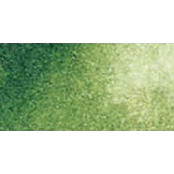 Daniel Smith Extra Fine Watercolor 15ml Paint Tube, Sap Green (284600102), 0.5 Fl Oz (Pack of 1)