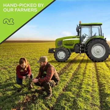 NUT CRAVINGS - Raw Brazil Nuts, Unsalted, No Shell, Whole, (32oz - 2 LB) Bulk Nuts Packed Fresh in Resealable Bag - Kosher Healthy Snack, Natural Keto Vegan