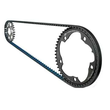 Schwinn AC Performance Plus Bike with Silent Belt Drive