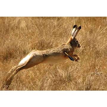 ZTMDF 6.3'' Aluminium Crossbow Bolts for Accurate Shooting