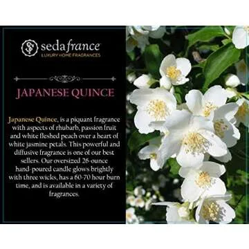 Seda France Japanese Quince Candle - 3 Wick Luxury