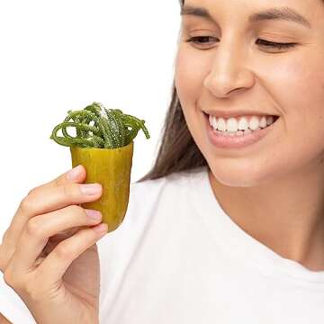 Fountain City Fulfillment Chamoy Pickle Kit - Deluxe Chamoy Pickle Set with Ricos & Warhead Pickle, Lucas Swinkles Salsaghetti Mexican Candy Strings, Chamoy Powder & Sauce, Lucas Gusano & Lucas Muecas (1 Warheads and 1 Chamoy Pickle Kit)