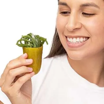 Fountain City Fulfillment Chamoy Pickle Kit - Deluxe Chamoy Pickle Set with Ricos & Warhead Pickle, Lucas Swinkles Salsaghetti Mexican Candy Strings, Chamoy Powder & Sauce, Lucas Gusano & Lucas Muecas (1 Warheads and 1 Chamoy Pickle Kit)