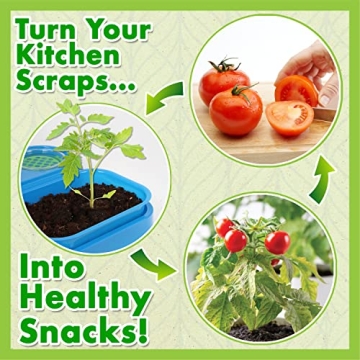 ReGrow Science Kit for Kids 8+ with 15+ Experiments