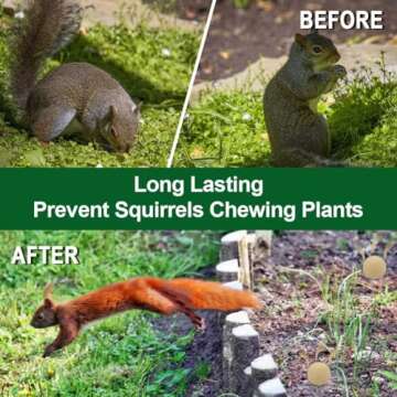 CONKAT Squirrel Repellent Outdoor,Chipmunk Repellent Outdoor, Squirrel Repellent for Garden, Mint Squirrel Deterrent for Plants, Natural Squirrel Repellent for Attic and Car-8P