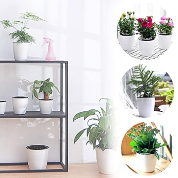 Haawooky Self Watering Planters Set for Easy Plant Care