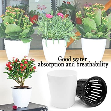 Haawooky Self Watering Planters Set for Easy Plant Care