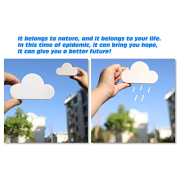 Charming Meyerascal Cloud Key Holder for Easy Key Storage