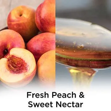 Air Wick Scented Oil Refill 5 Ct - Peach Nectar Freshness