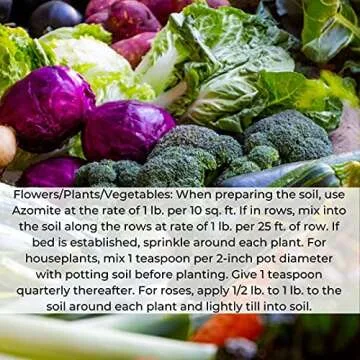 Azomite Micronized Trace Mineral Powder (44 Pounds)