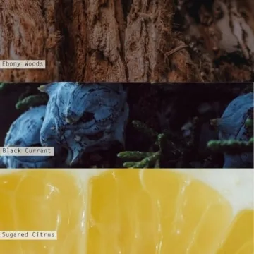 ILLUME North Sky Candle - Eco-Friendly Aromatic Experience