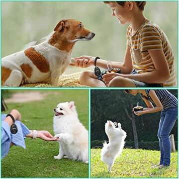 Saintrygo 4Pcs Dog Treat Pouch Magnetic Closure Small Dog Training Bag Pocket Sized Treat Pouch for Training with Dog Training Clicker (Black, Lake Blue)