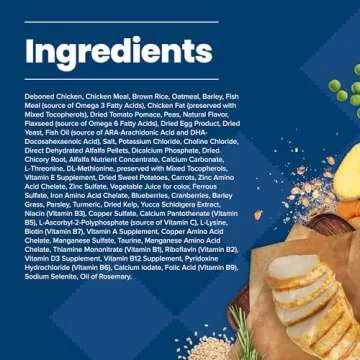 Blue Buffalo Dry Puppy Food Nutritional Support for Puppies