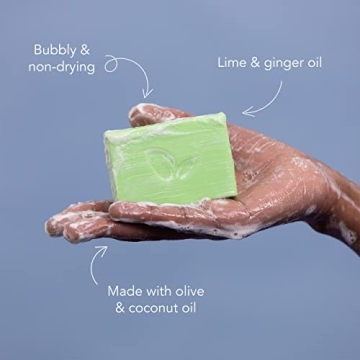 Ethique Zesty Lime & Ginger Body Wash Bar - Eco-Friendly