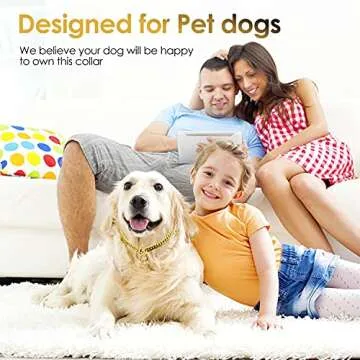 txprodogchains 18K Gold Chain Dog Collar for All Sizes