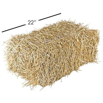 Garden Elements Straw Bale by Shady Creek Farm, Multi-Use for Farm & Home, Medium Straw Bale, 22"