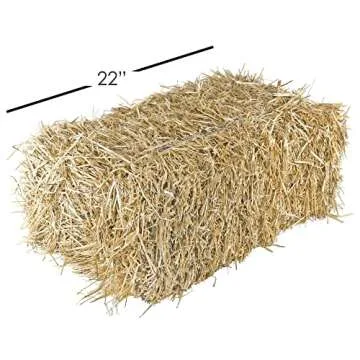 Garden Elements Straw Bale by Shady Creek Farm, Multi-Use for Farm & Home, Medium Straw Bale, 22"