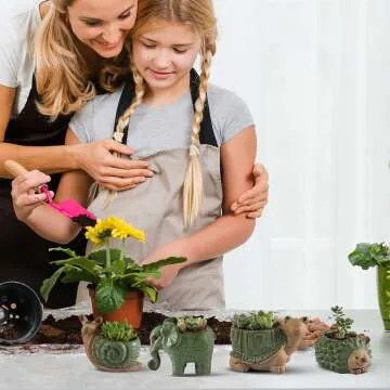 Cute Animal Succulent Pots Set for Indoor Decor