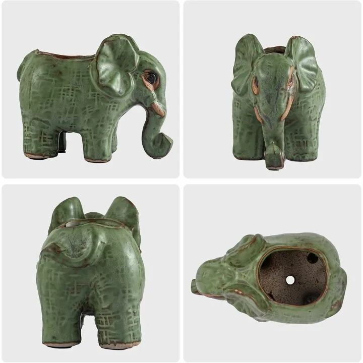 Cute Animal Succulent Pots Set for Indoor Decor