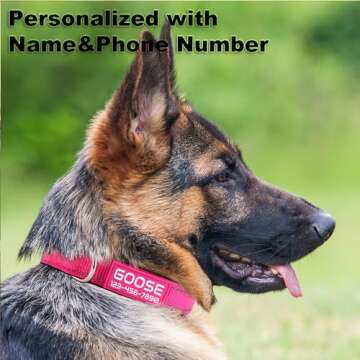 Personalized Dog Collars Custom with Pet Name and Phone Number, Soft Neoprene Padded Reflective Nylo...