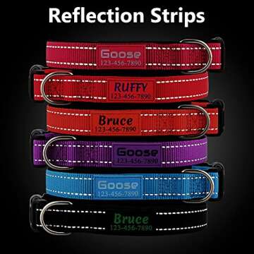 Reflective Personalized Dog Collars for Safety and Style