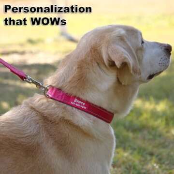 Reflective Personalized Dog Collars for Safety and Style
