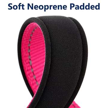 Reflective Personalized Dog Collars for Safety and Style