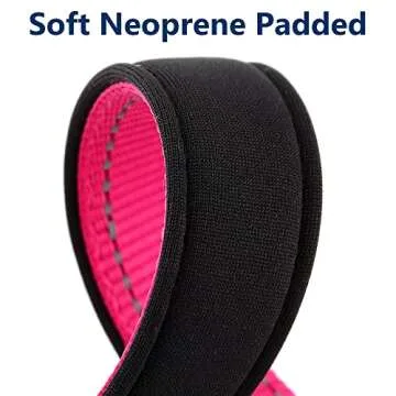 Reflective Personalized Dog Collars for Safety and Style