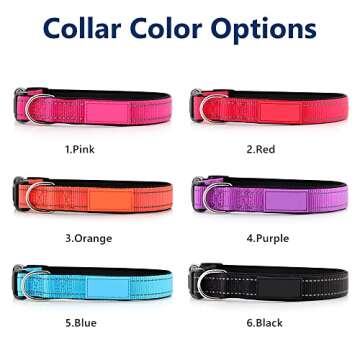 Reflective Personalized Dog Collars for Safety and Style