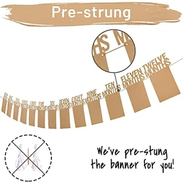 PartyHooman 1st Birthday Photo Banner for Milestones