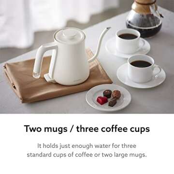 BALMUDA Electric Gooseneck Kettle - Perfect for Tea and Coffee