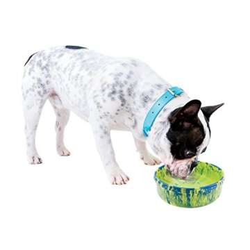 Ruff Dawg Rubber Dog Bowl - Durable Material Non-Slip No Spill Proof Skid Insulated - Pet Dog/Cat Food Water Dish Feeding - Assorted Colors - Small
