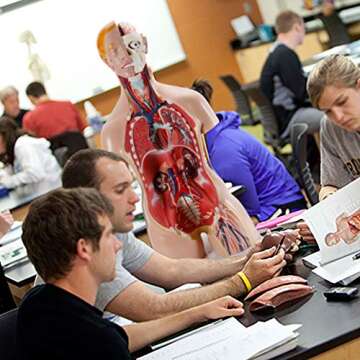 FriCARE Human Body Model for Anatomy Study