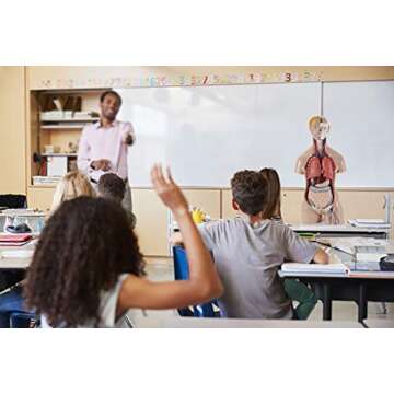 FriCARE Human Body Model for Anatomy Study