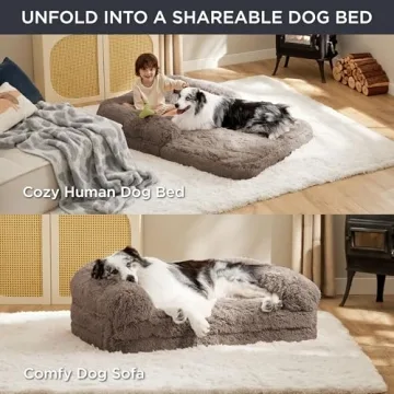 Foldable Human Dog Bed with Egg Foam Support