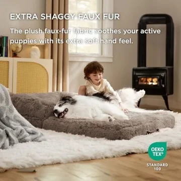 Foldable Human Dog Bed with Egg Foam Support