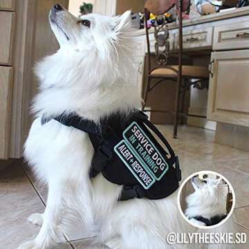 OneTigris Tactical Dog Harness,Puppy Harness with Handle, Military Vest for Small Dogs Outdoor Easy ...