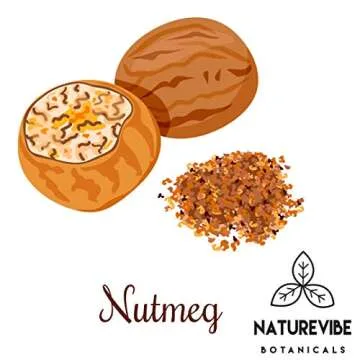 Naturevibe Botanicals Nutmeg Whole 1.76oz (50gm) | Non-GMO and Gluten Free | Indian Spice | Adds Aroma and Flavor