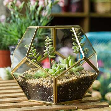 NCYP Glass Terrarium for Small Cactus, Succulents - Gold Geometric Planter Pot, Home Office Tabletop...