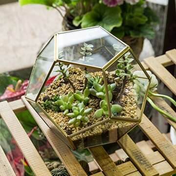 NCYP Glass Terrarium for Small Cactus, Succulents - Gold Geometric Planter Pot, Home Office Tabletop Miniature Garden Decor, 6.89 x 6.89 x 5.9 Inches, Handmade (No Plants, No Door)