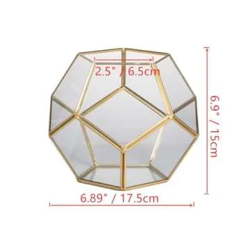 NCYP Glass Geometric Terrarium for Succulents - Stylish Home Decor