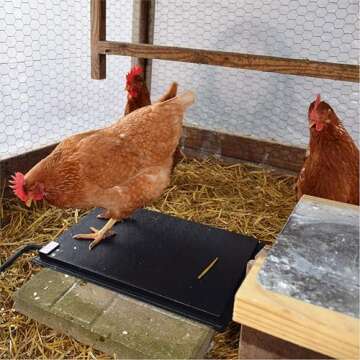 Farm Innovators HM-60P 19 x 13 Inch 60 Watt Heated Chicken Mat for Coops, Pens, and Nesting Areas
