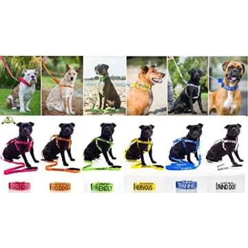 Service Dog Blue 2ft 4ft 6ft Padded Dog Leash Prevents Accidents by Warning Others of Your Dog in Advance (6ft)