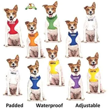 Service Dog Blue 2ft 4ft 6ft Padded Dog Leash Prevents Accidents by Warning Others of Your Dog in Advance (6ft)