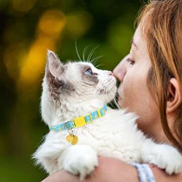 VKPETFR Adjustable Breakaway Cat Collars with Bell