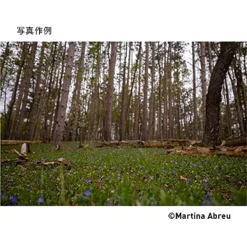 Sigma 16-28 mm F2.8 DG DN Lens for Sony E Mount